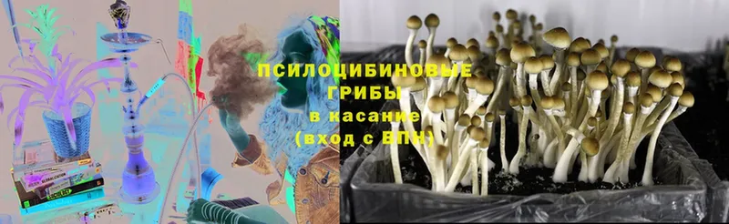 Псилоцибиновые грибы Psilocybine cubensis  купить закладку  Ворсма 